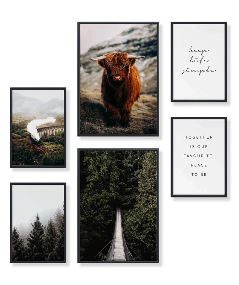 Highland & Forest