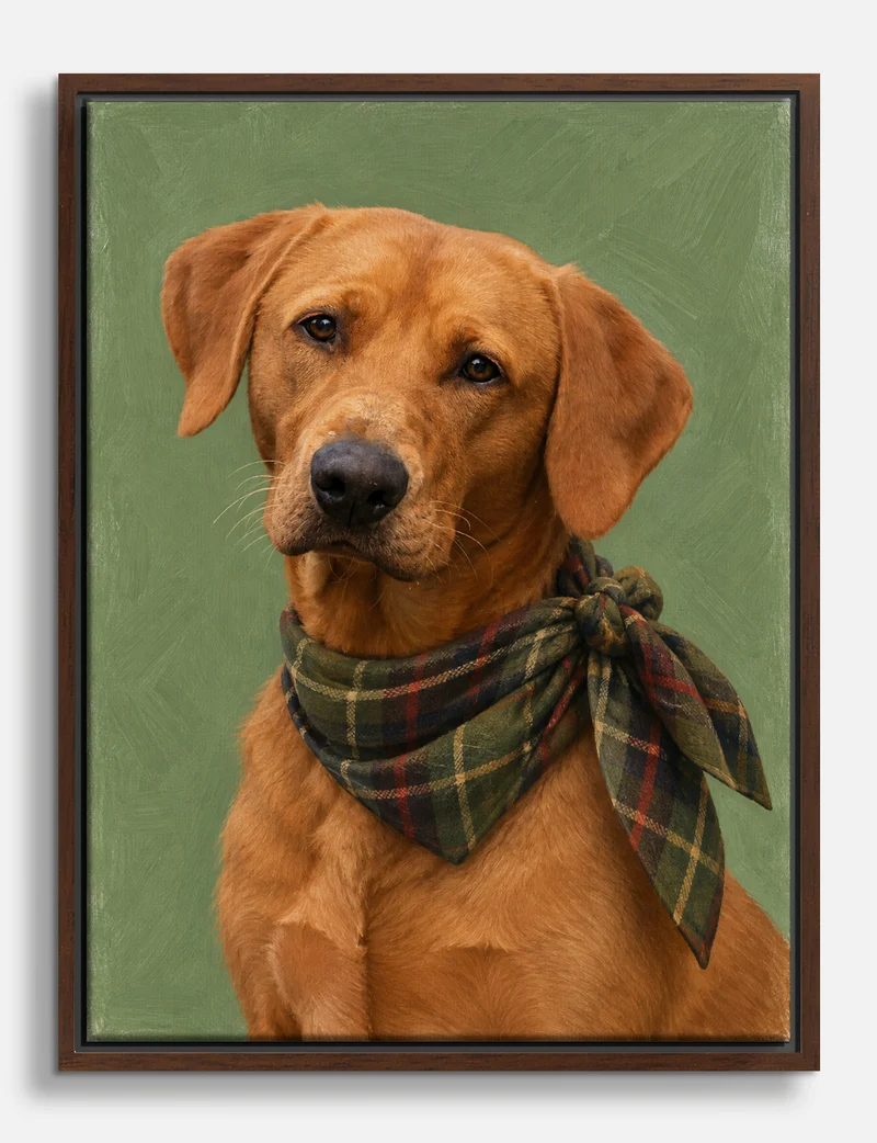 Fox Red Labrador in Tartan Scarf Canvas Print