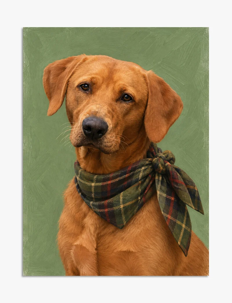 Fox Red Labrador in Tartan Scarf Art Print
