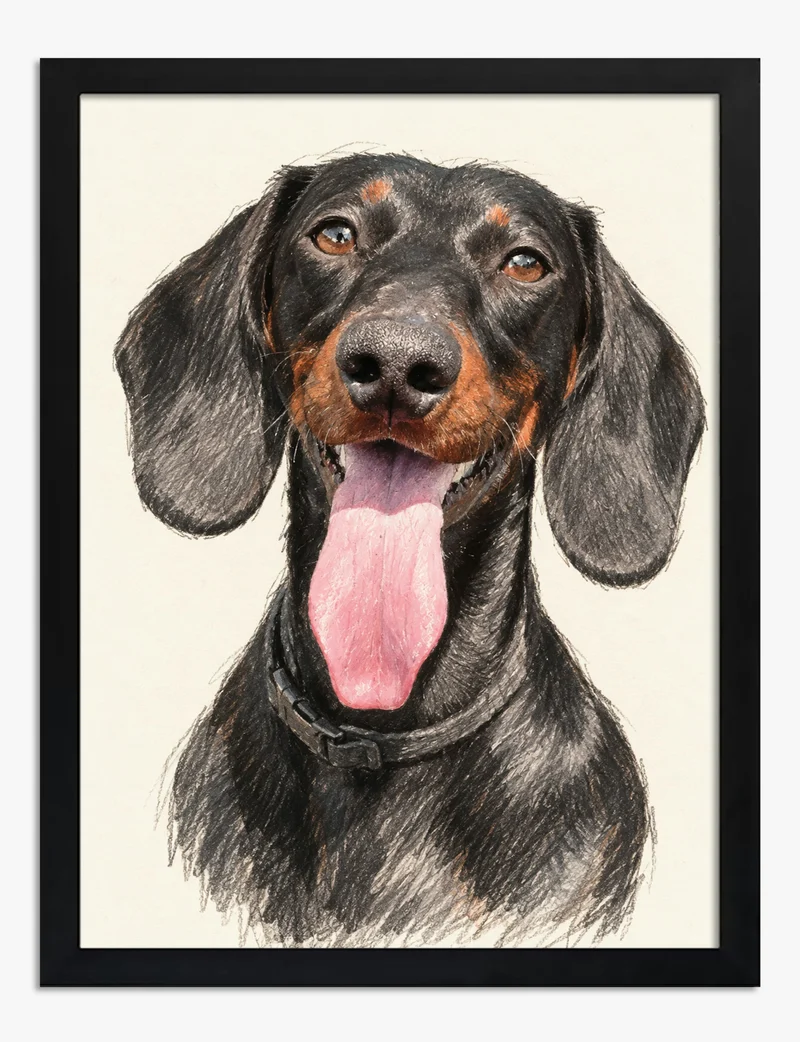 Cheerful Dachshund Portrait Art Print