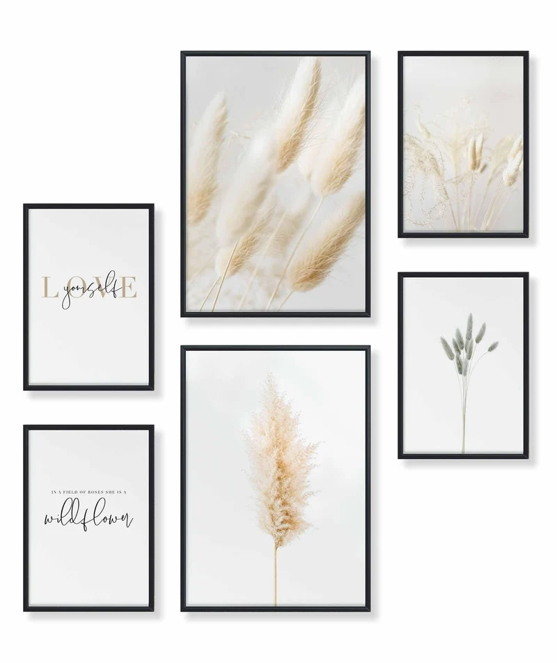 Pampas Gras