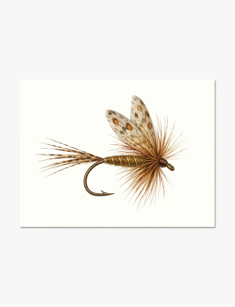 Dry Fly Fishing Lure Study Art Print