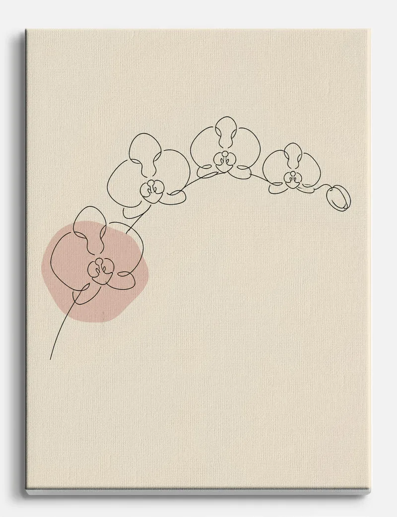 Orchid Single Line Study Canvas Print