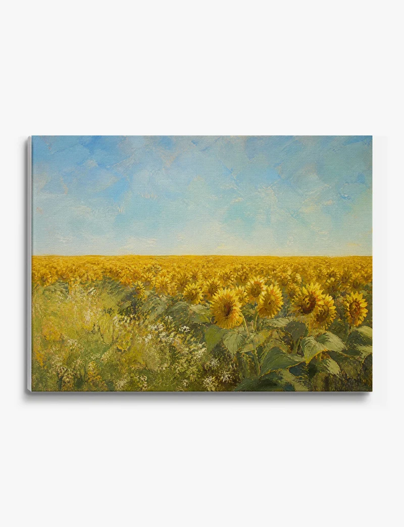 Sunflower Field in Summer Light Canvas Print