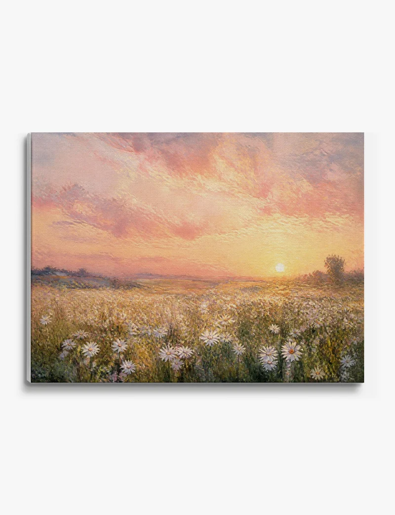 Daisy Field at Sunset Canvas Print