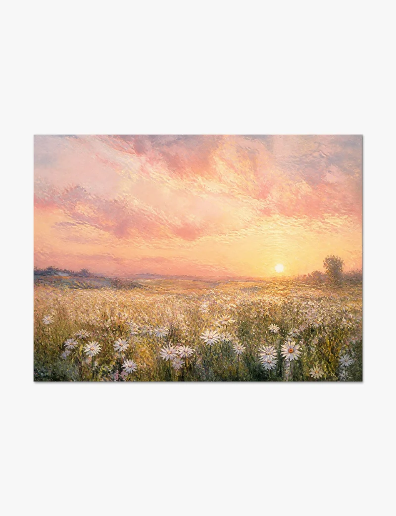 Daisy Field at Sunset Art Print