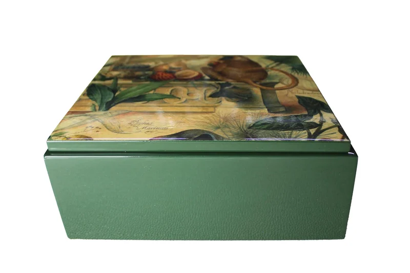 Signature Schatulle Nashorn Affen FC-142 quadratisch grün