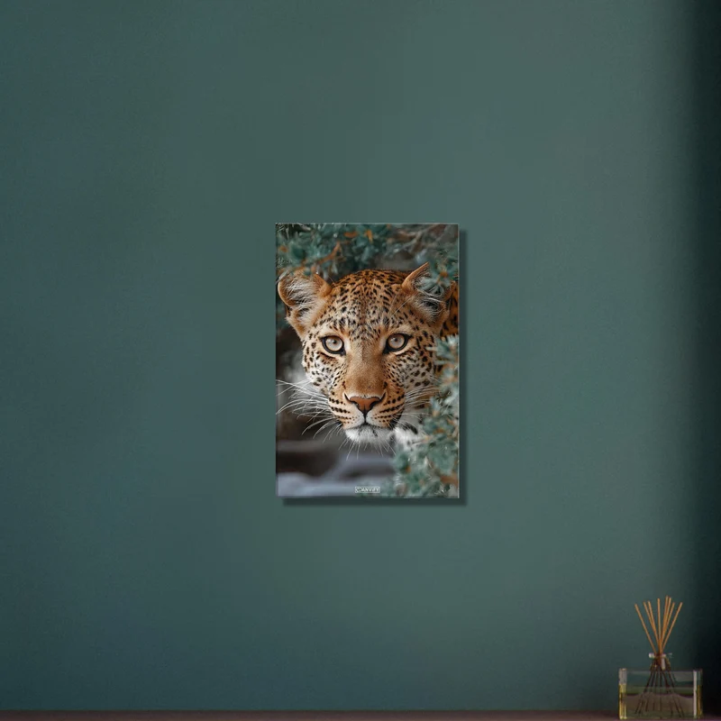 African Leopard Portrait Close Up