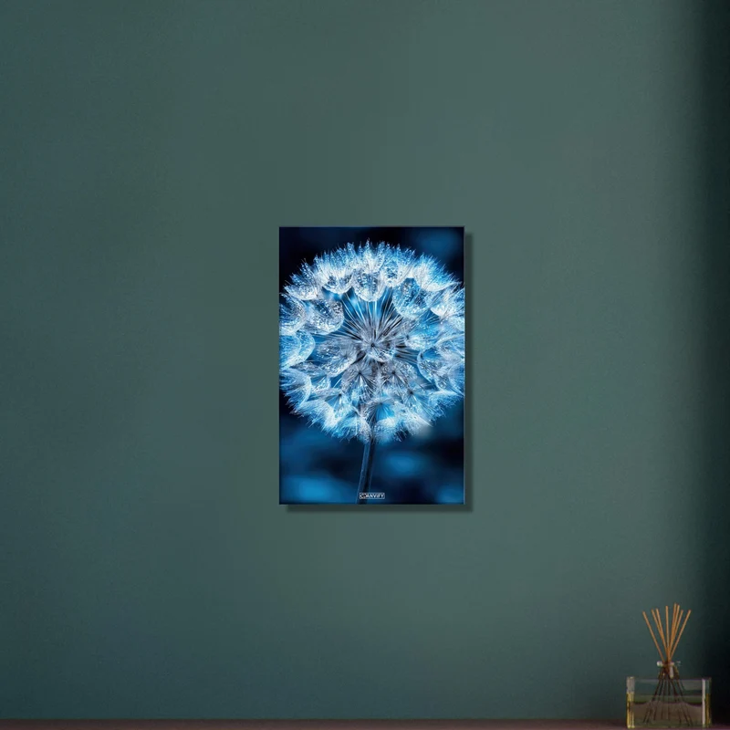 Iceblue Dandelion Close Up