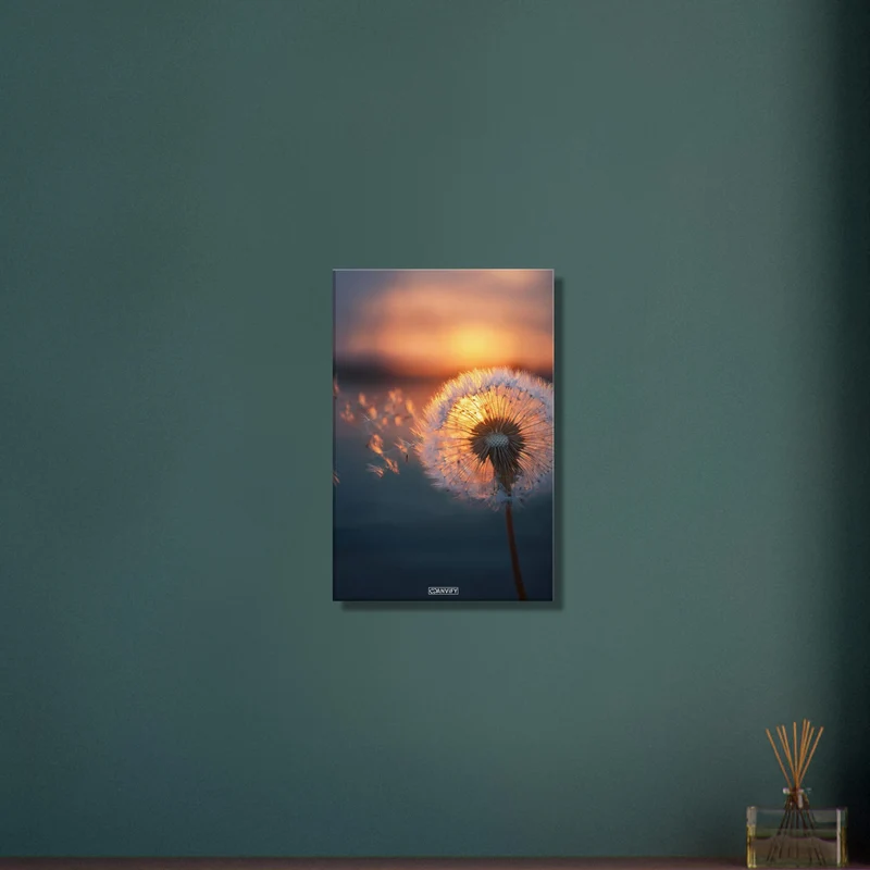 Dandelion at Golden Sunset