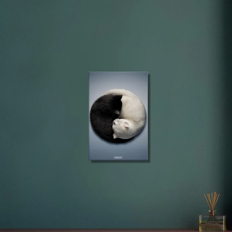 Yin and Yang Cats