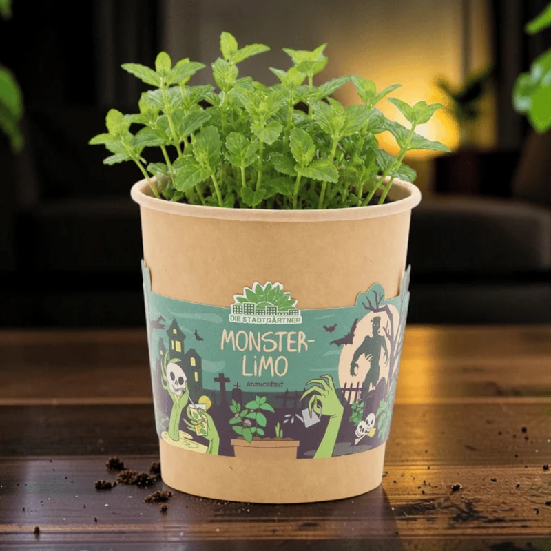 Monsterlimo Anzuchtset – Minze im Halloween-Becher