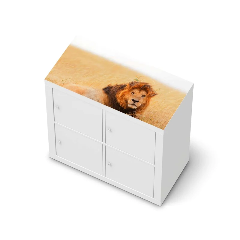 Möbelfolie IKEA Kallax Regal [oben] - Design: Lion King