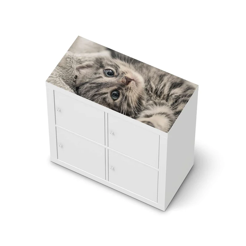 Möbelfolie IKEA Kallax Regal [oben] - Design: Kitty the Cat