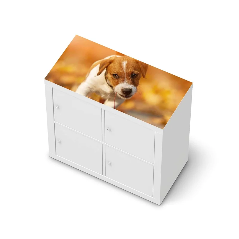 Möbelfolie IKEA Kallax Regal [oben] - Design: Jack the Puppy
