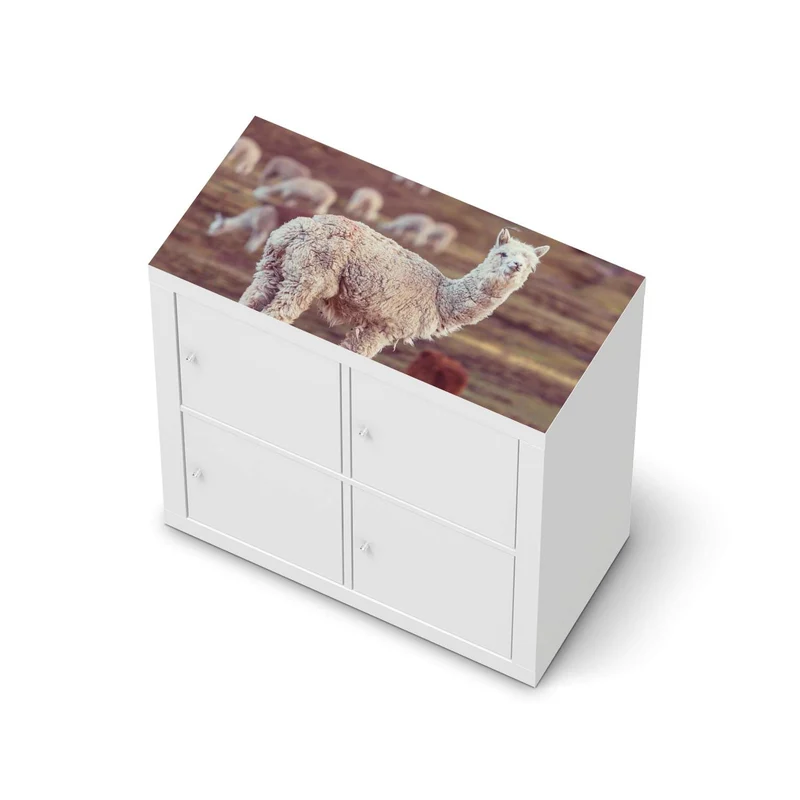 Möbelfolie IKEA Kallax Regal [oben] - Design: Pako
