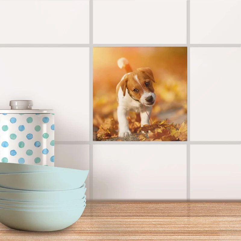 Fliesenaufkleber für Küche & Bad - Design: Jack the Puppy