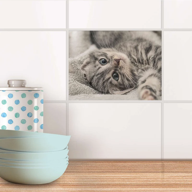 Fliesenfolie für Küche & Bad - Design: Kitty the Cat