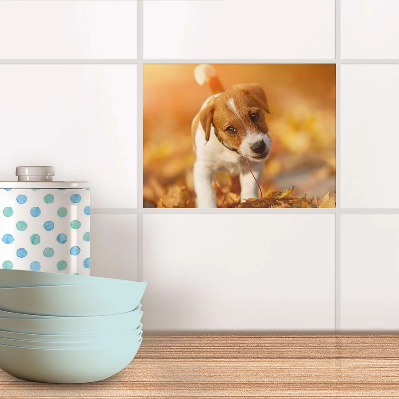 Fliesenfolie für Küche & Bad - Design: Jack the Puppy