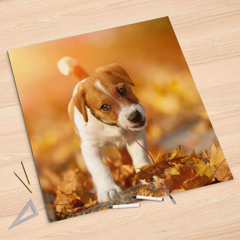 Folienbogen (90x90 cm) - Design: Jack the Puppy
