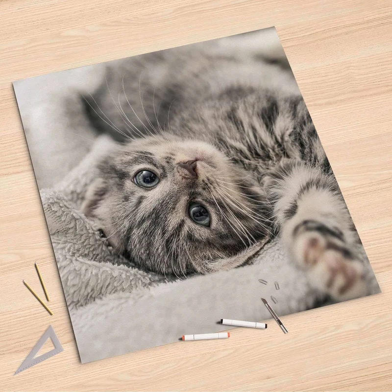 Folienbogen (90x90 cm) - Design: Kitty the Cat