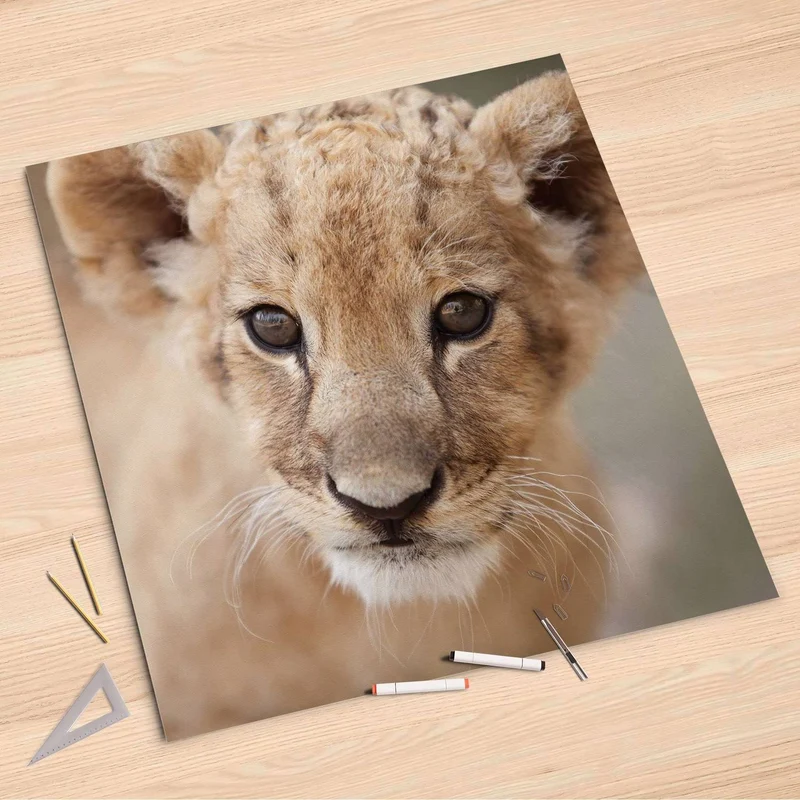Folienbogen (90x90 cm) - Design: Simba