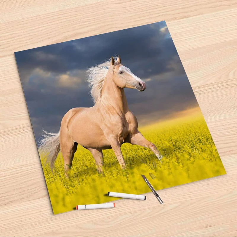 Folienbogen (60x60 cm) - Design: Wildpferd