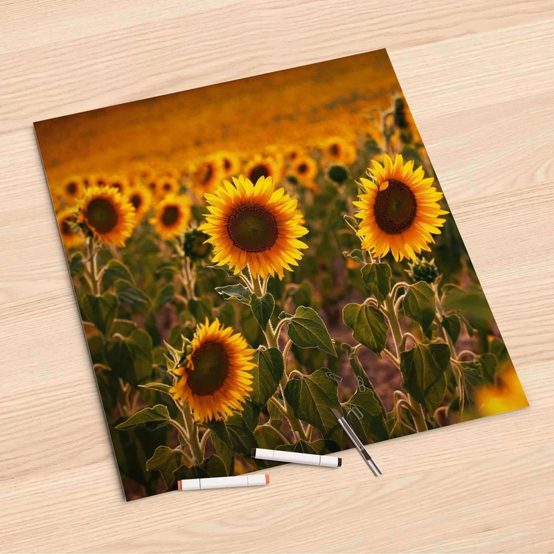 Folienbogen (60x60 cm) - Design: Sunflowers