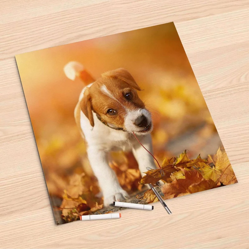 Folienbogen (60x60 cm) - Design: Jack the Puppy