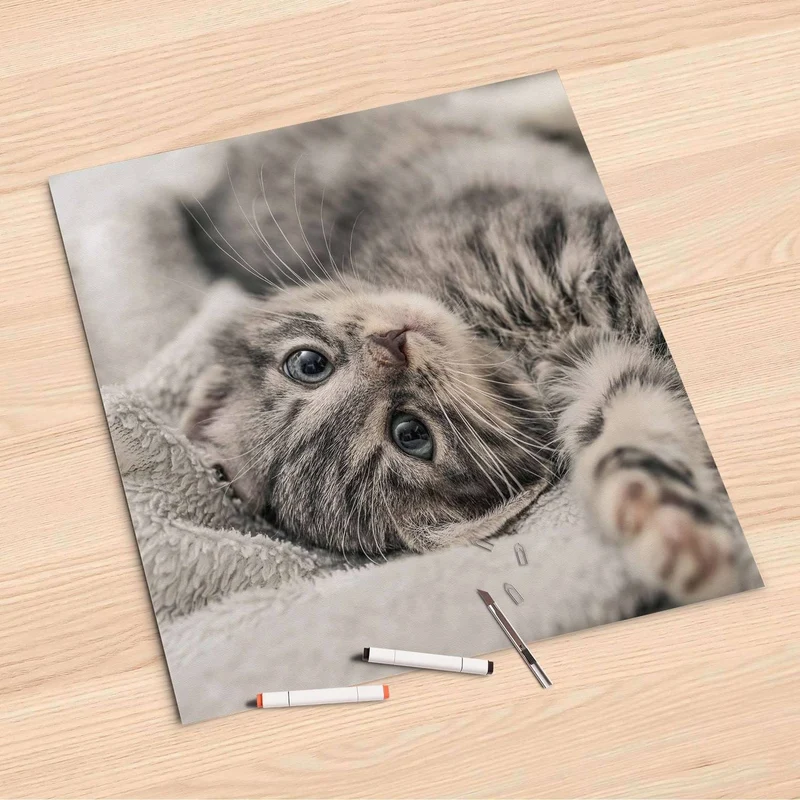 Folienbogen (60x60 cm) - Design: Kitty the Cat