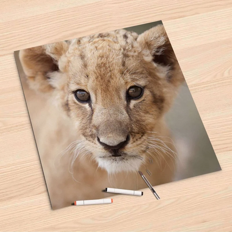 Folienbogen (60x60 cm) - Design: Simba