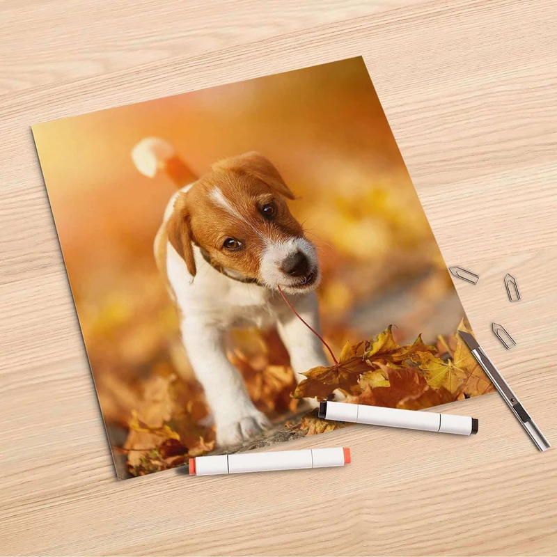 Folienbogen (30x30 cm) - Design: Jack the Puppy