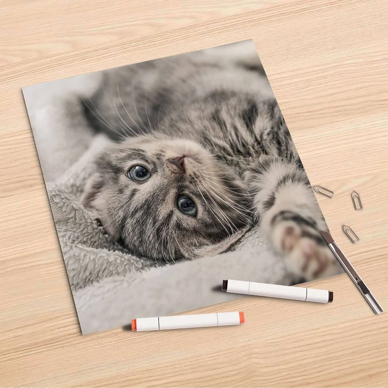 Folienbogen (30x30 cm) - Design: Kitty the Cat
