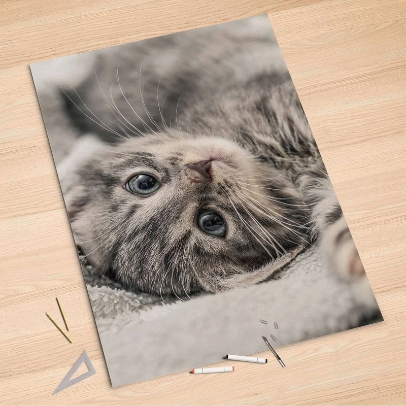 Folienbogen (100x150 cm) - Design: Kitty the Cat