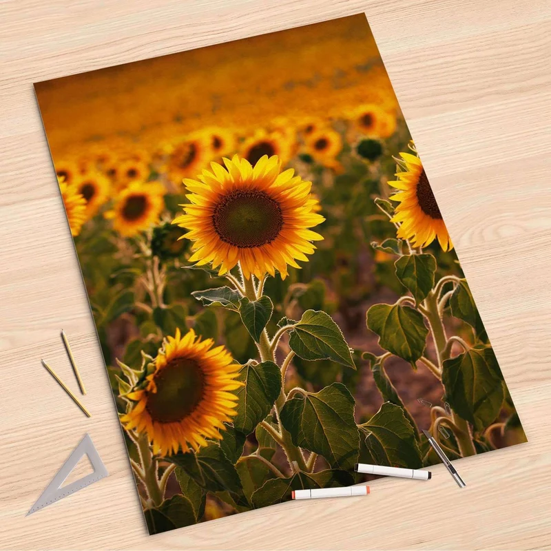 Folienbogen (80x120 cm) - Design: Sunflowers