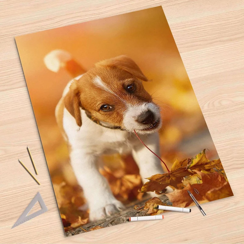 Folienbogen (80x120 cm) - Design: Jack the Puppy