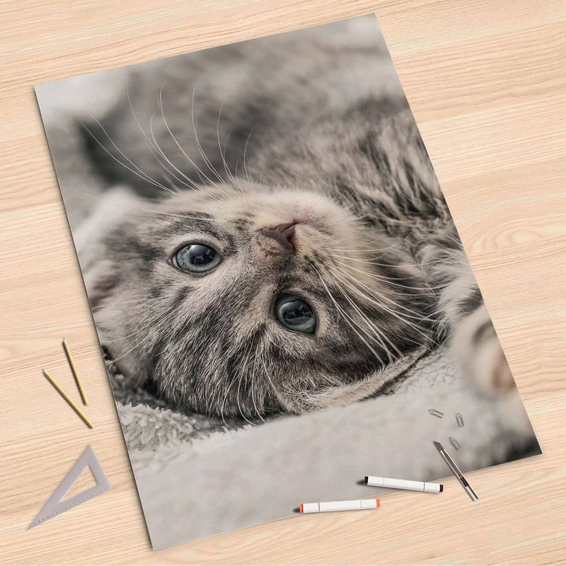 Folienbogen (80x120 cm) - Design: Kitty the Cat