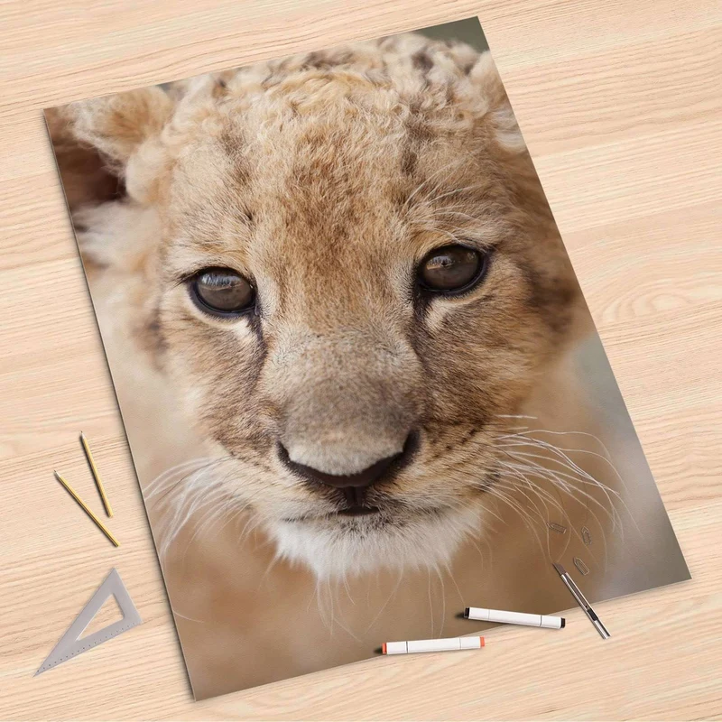 Folienbogen (80x120 cm) - Design: Simba