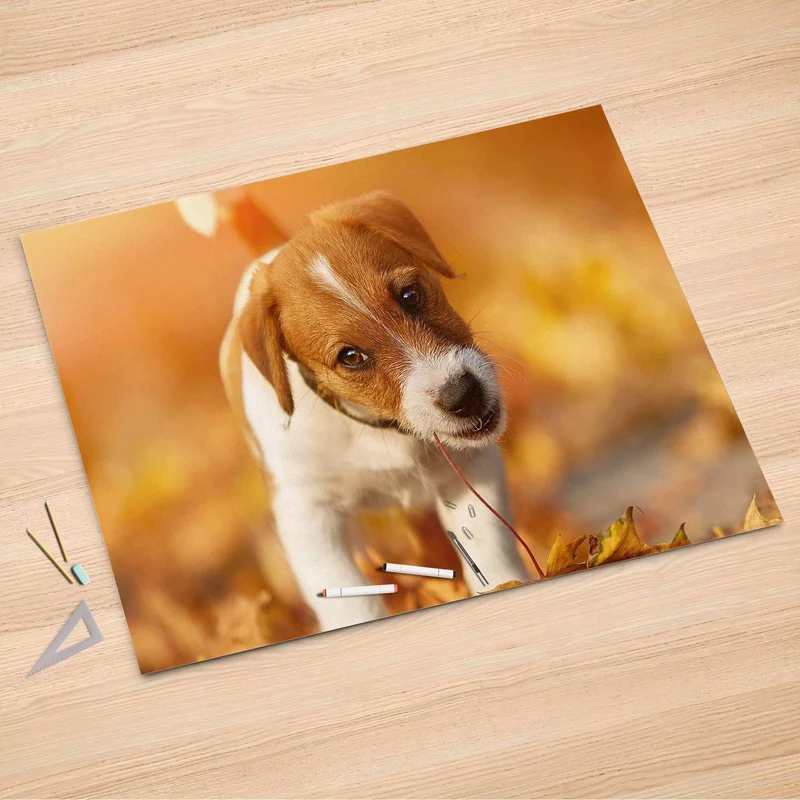 Folienbogen (150x100 cm) - Design: Jack the Puppy