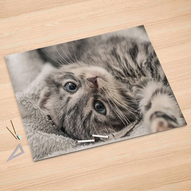 Folienbogen (150x100 cm) - Design: Kitty the Cat