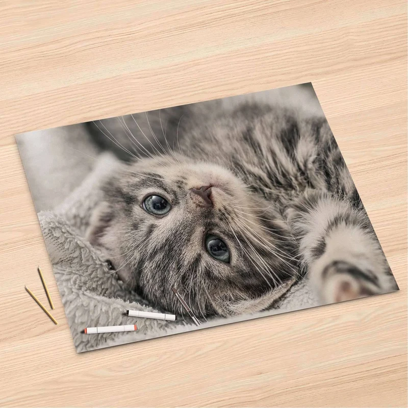 Folienbogen (120x80 cm) - Design: Kitty the Cat