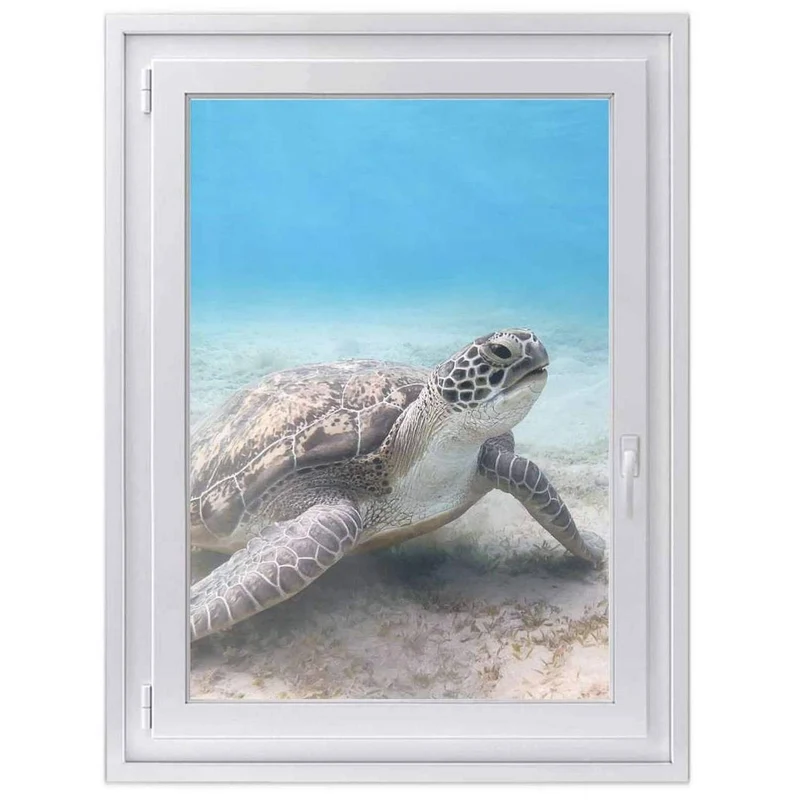Fensterfolie [hoch] - Design: Green Sea Turtle