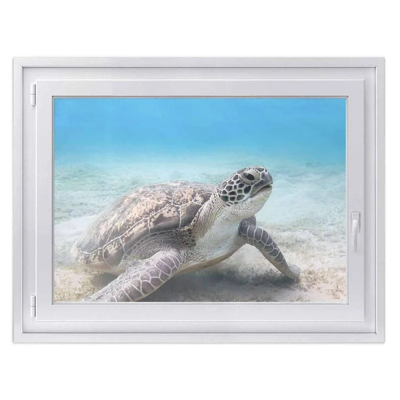 Fensterfolie [quer] - Design: Green Sea Turtle