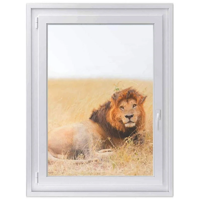 Fensterfolie [hoch] - Design: Lion King