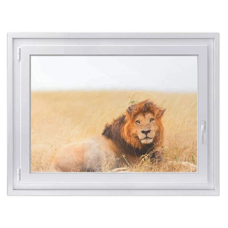 Fensterfolie [quer] - Design: Lion King