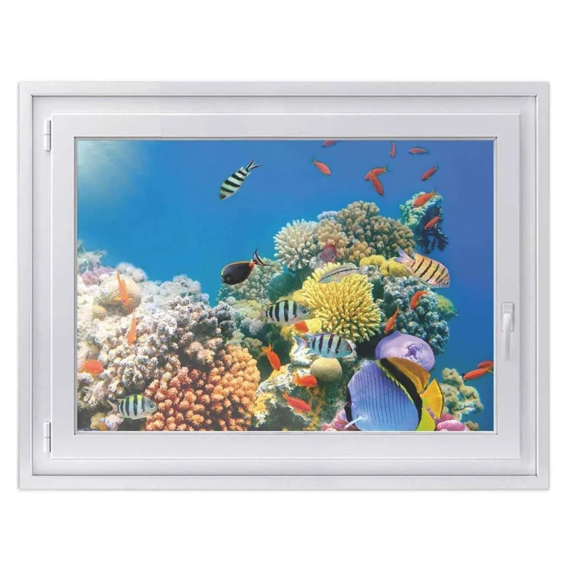 Fensterfolie [quer] - Design: Coral Reef