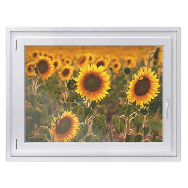 Fensterfolie [quer] - Design: Sunflowers