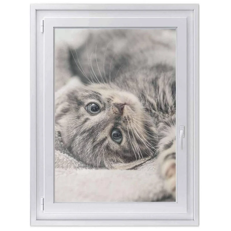Fensterfolie [hoch] - Design: Kitty the Cat
