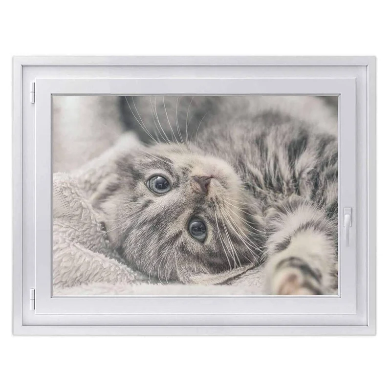Fensterfolie [quer] - Design: Kitty the Cat