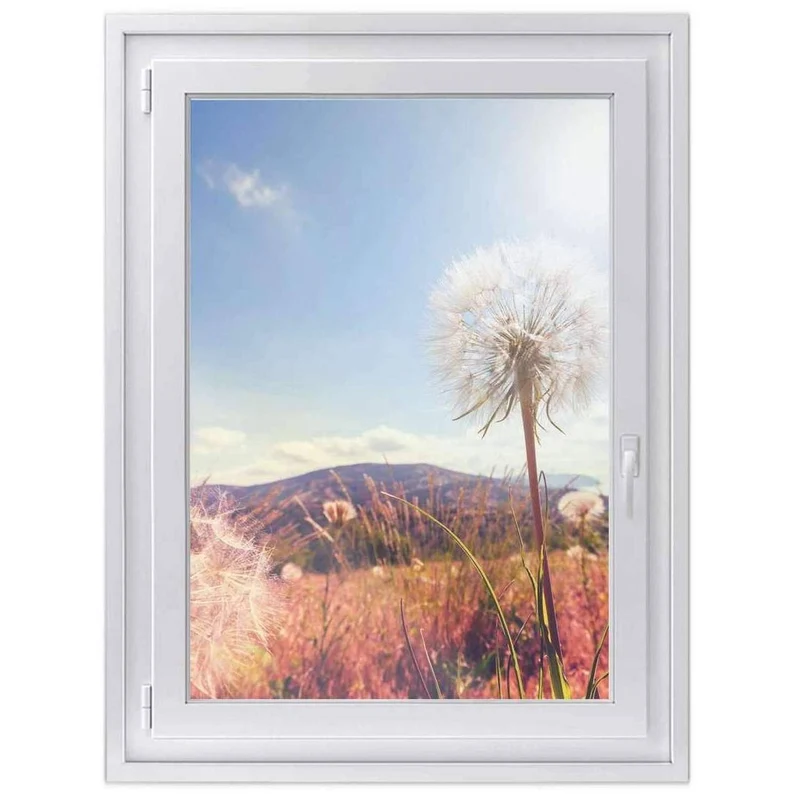 Fensterfolie [hoch] - Design: Dandelion